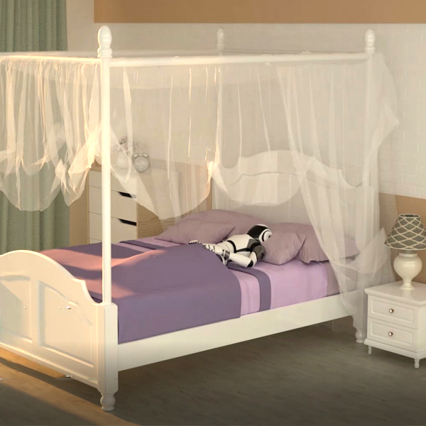 ��������ʽ���ʳ�����������