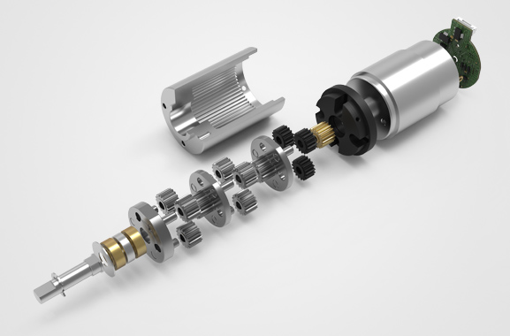 Ѳ������˵��������